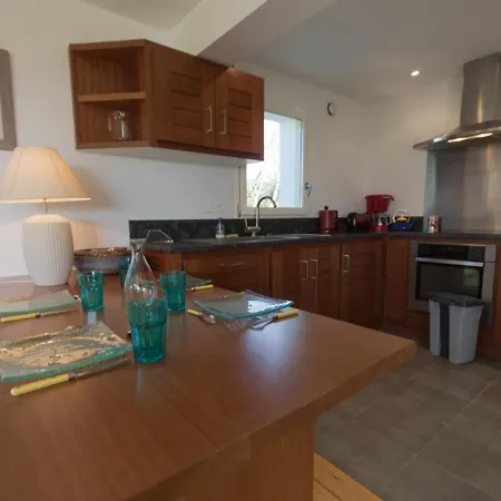 Maison Recente Avec Jardin Et Wifi A - Fr-1-418-13 *